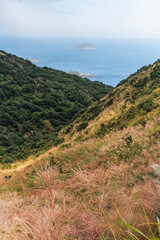 the view of Keelung Islet from a valley covered with Miscanthus