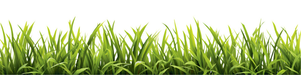 Fototapeta premium Green grass border set isolated on transparent background. 