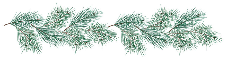 Watercolor Christmas tree branches. Green New Year garland. Pine tree branches. Hand drawn illustration for greeting cards, posters, prints and other design.