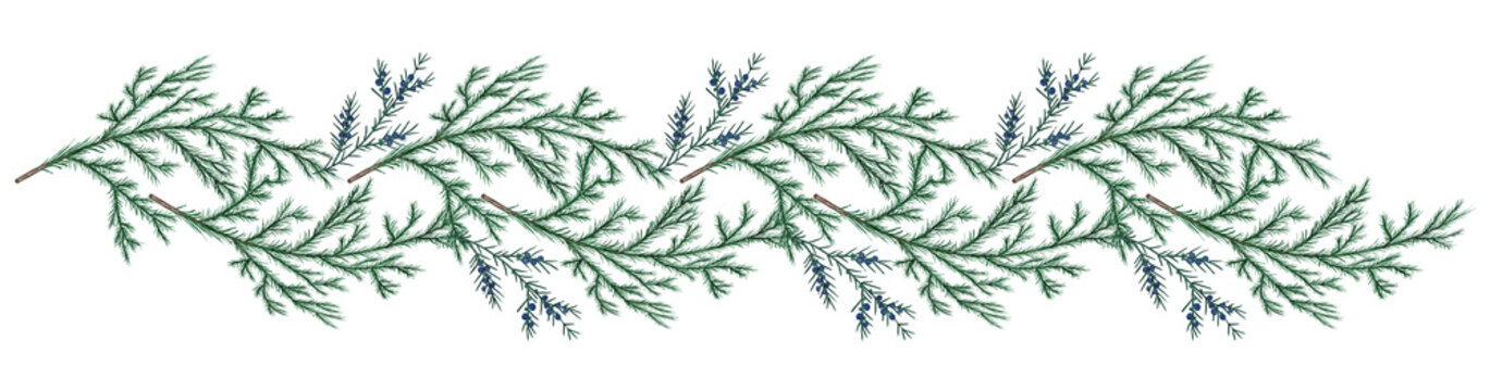 Watercolor Christmas tree branches. Green New Year garland. Hand drawn illustration for greeting cards, posters, prints and other design.