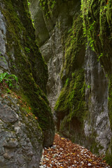 Obraz premium Canyon in the limestone mountains
