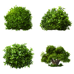 Obraz premium Set of plant bush tree isolated on transparent background