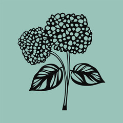 Hydrangeas plant silhouette vector illustration, botanical