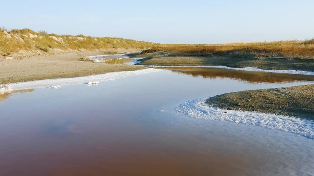Salt River. Hypersalted lake runoff. Deposits of salt crystals visible on shores. Water is salmon-colored because of abundance of halotolerant bacteria Dunaliella salina and Halobacterium salinarum