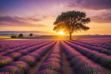 Fotobehang Beautiful image of lavender field summer sunset landscape with single tree on horizon with sunburst. Generative Ai. © kapros76