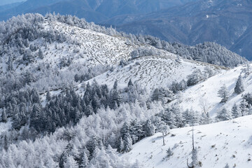 雪に覆われた山　富士見台高原