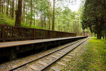 Fototapeta premium Train track in the alishan national forest recreation area