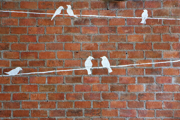 Picture of a white bird on a red brick wall - Powered by Adobe