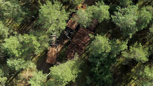 Industrial harvester loads cut trees wood logs on timber truck aerial view from above. Wood industry commercial timber harvesting