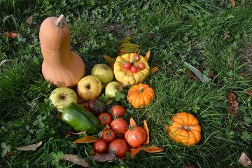 fruits et légumes d'automne