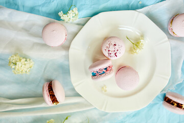 Assorted sweet french pink macarons on blue background with fresh flowers, pastry assortment, sweet indulgence.