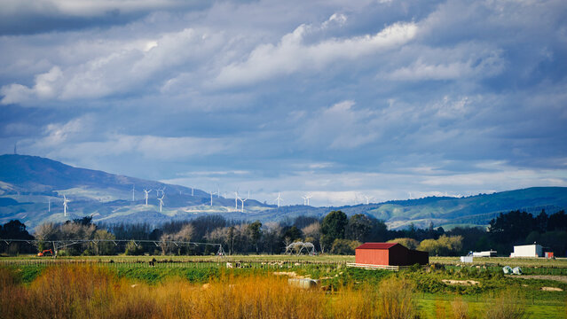 Palmerston North , view from Manawatu River Pathway