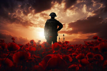 A silhouette of a military soldier standing in a field of poppies. Remembrance day