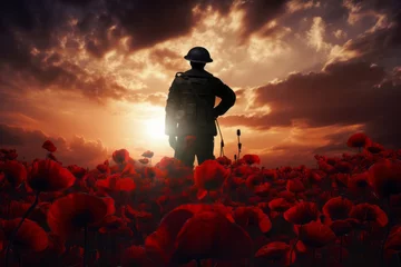 Deurstickers A silhouette of a military soldier standing in a field of poppies. Remembrance day © ink drop