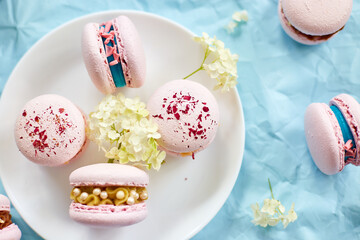 Assorted sweet french pink macarons on blue background
