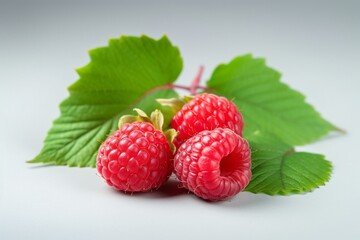 Image of raspberries on white background with green leaves on top and bottom of each berry. Generative AI