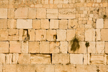 Close up view of the Western Wall or Wailing Wall near the Temple Mount, Jerusalem, Israel. Small pieces of papers for prayers in the cracks between the stones