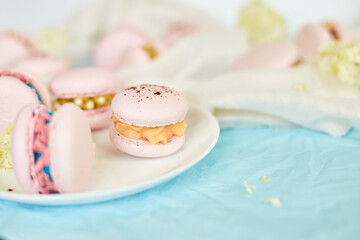 Assorted sweet french pink macarons on blue background