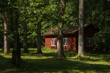 Sunlight shines through the trees on a traditional Swedish red house in the forest