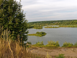 Fototapeta na wymiar Forested river banks in summer