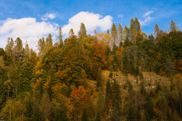Il foliage autunnale nei boschi della Val di Zoldo

