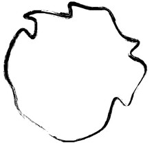 Grunge Abstract Hand Drawn Fluid Stroke Line Shape 