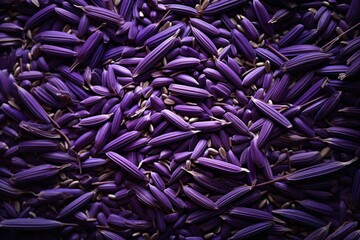 Purple rice grains
