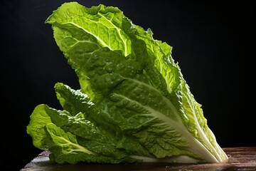 Fresh and organic lettuce