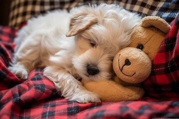 A small puppy cuddles a toy bear and naps under a cozy plaid during chilly seasons. Generative AI