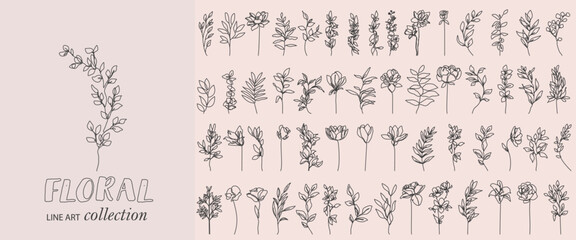 Set Of Plants, Flowers and Leaves Branches Line Art Drawing Black Sketch Isolated. Flowers One Line Illustration Collection for Minimalist Modern Design. Vector EPS 10  - obrazy, fototapety, plakaty