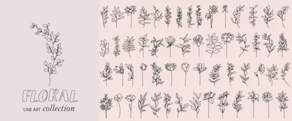 Photo sur Plexiglas Une ligne Set Of Plants, Flowers and Leaves Branches Line Art Drawing Black Sketch Isolated. Flowers One Line Illustration Collection for Minimalist Modern Design. Vector EPS 10 