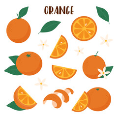 Orange set elements on white background.