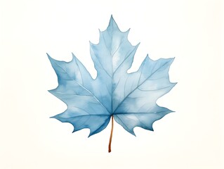 A maple leaf in watercolor illustration