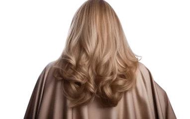  Waterproof Hairdressing Cape on Transparent Background © Muhammad