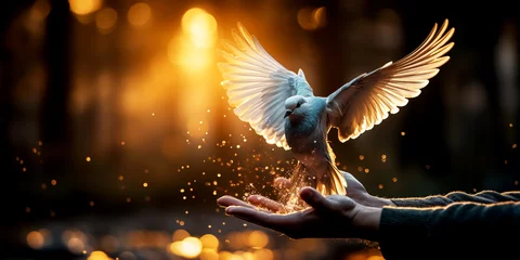Tuinposter Hand release a white dove with freedom and peace concept background © NightTampa