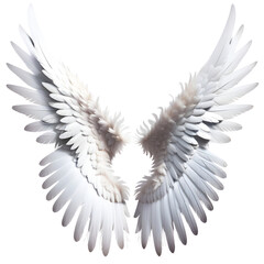 Obraz premium White Wings Isolated on Transparent Background