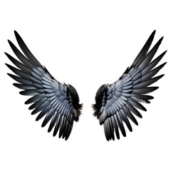 Black Wings Isolated on Transparent Background