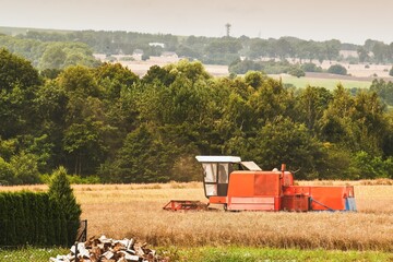 Harvesting wheat. Combine harvester at work. Agricultural industrial scene in a farmland.