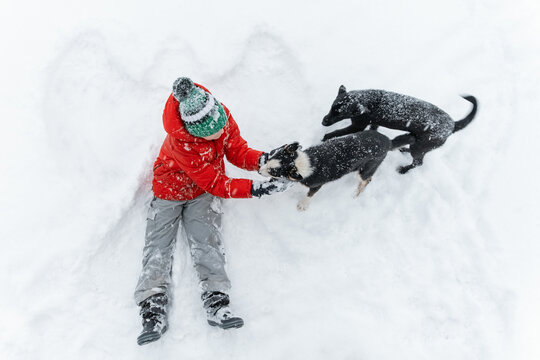 Child sits in the snow and strokes dogs on snow angel background. Rescue Dogs concept. Top view.