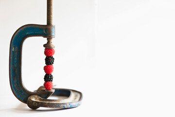 Close up of a metal clamp holding together raspberries and blackberries
