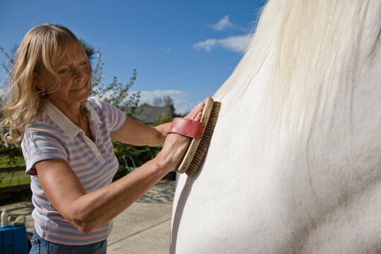 Mature woman brushing a horse
