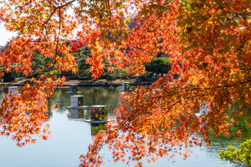 福島県白河市　紅葉の南湖公園