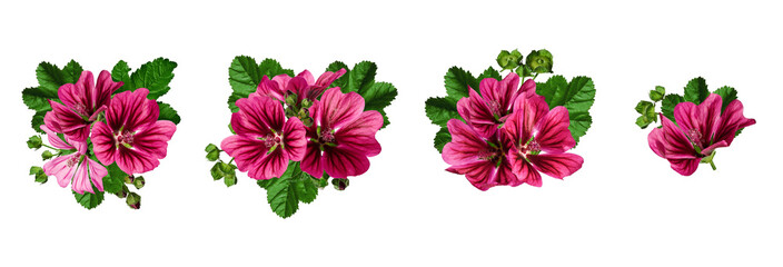 Four floral arrangements of Common mallow (Malva Sylvestris) with leaves and buds isolated on white background.Element for creating design, postcard, pattern, floral arrangement, wedding card