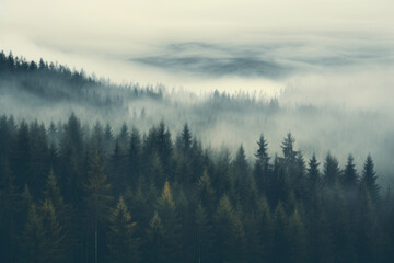 Misty landscape with fir forest in vintage retro style.