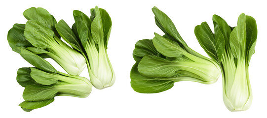Fresh pak choi cabbage isolated on white background. Top view. Flat lay