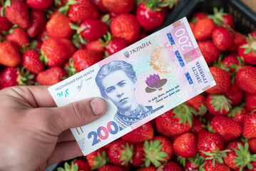 Giving 200 hryvnias banknote to a strawberry seller. Buying strawberry in Ukraine, paying for fresh...