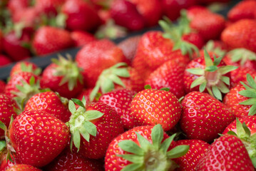 Background of ripe tasty strawberry. Just harvested red bright strawberry in boxes