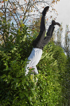 Businessman landing in a hedge upside down
