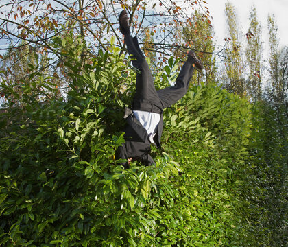 Businessman landing in a hedge upside down
