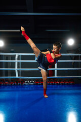 Full length portrait of athletic boy, professional sportsman in uniform performing kicks, kickboxer on ring.